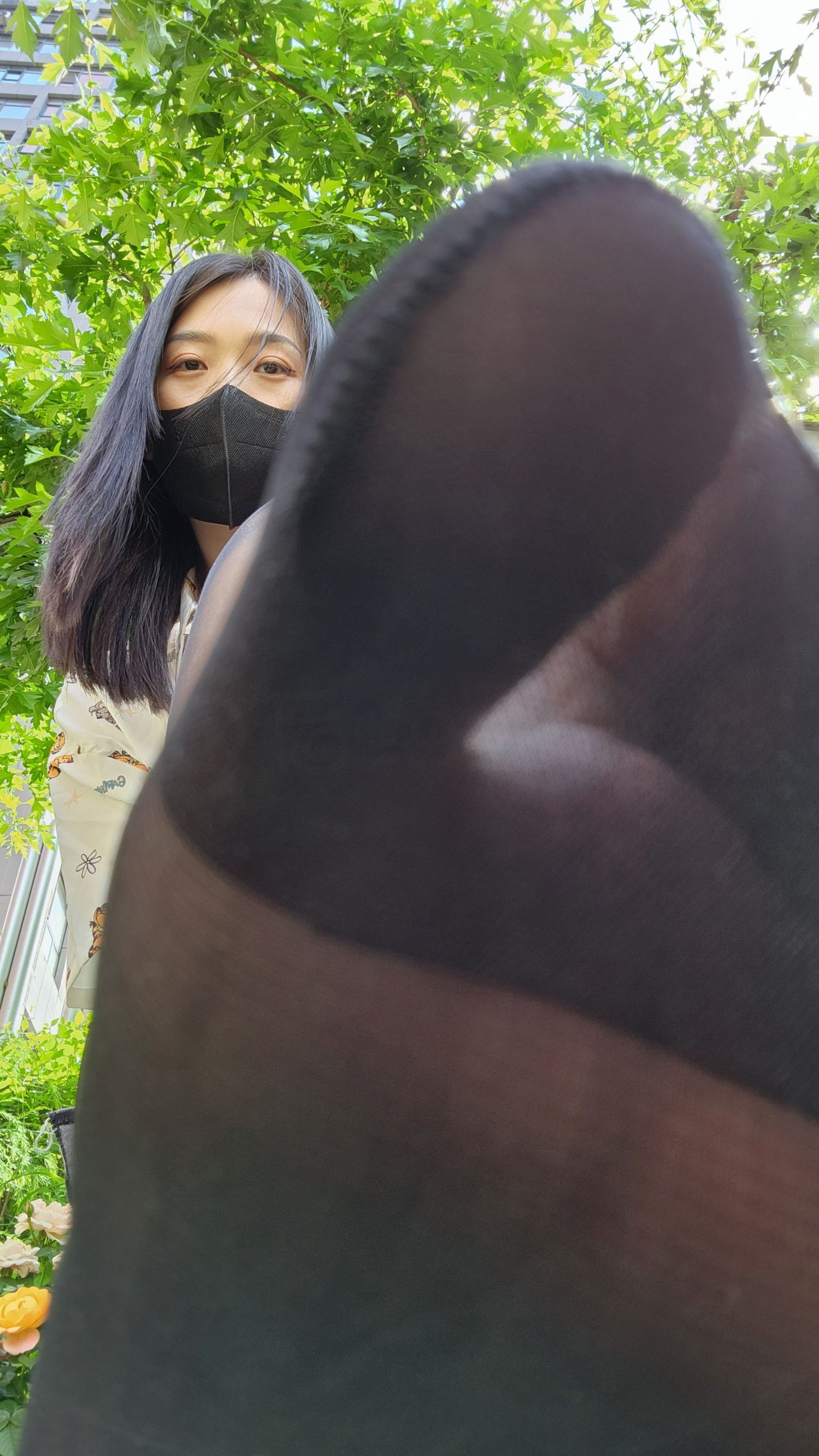 后海小熊猫 不蕉绿 (51)