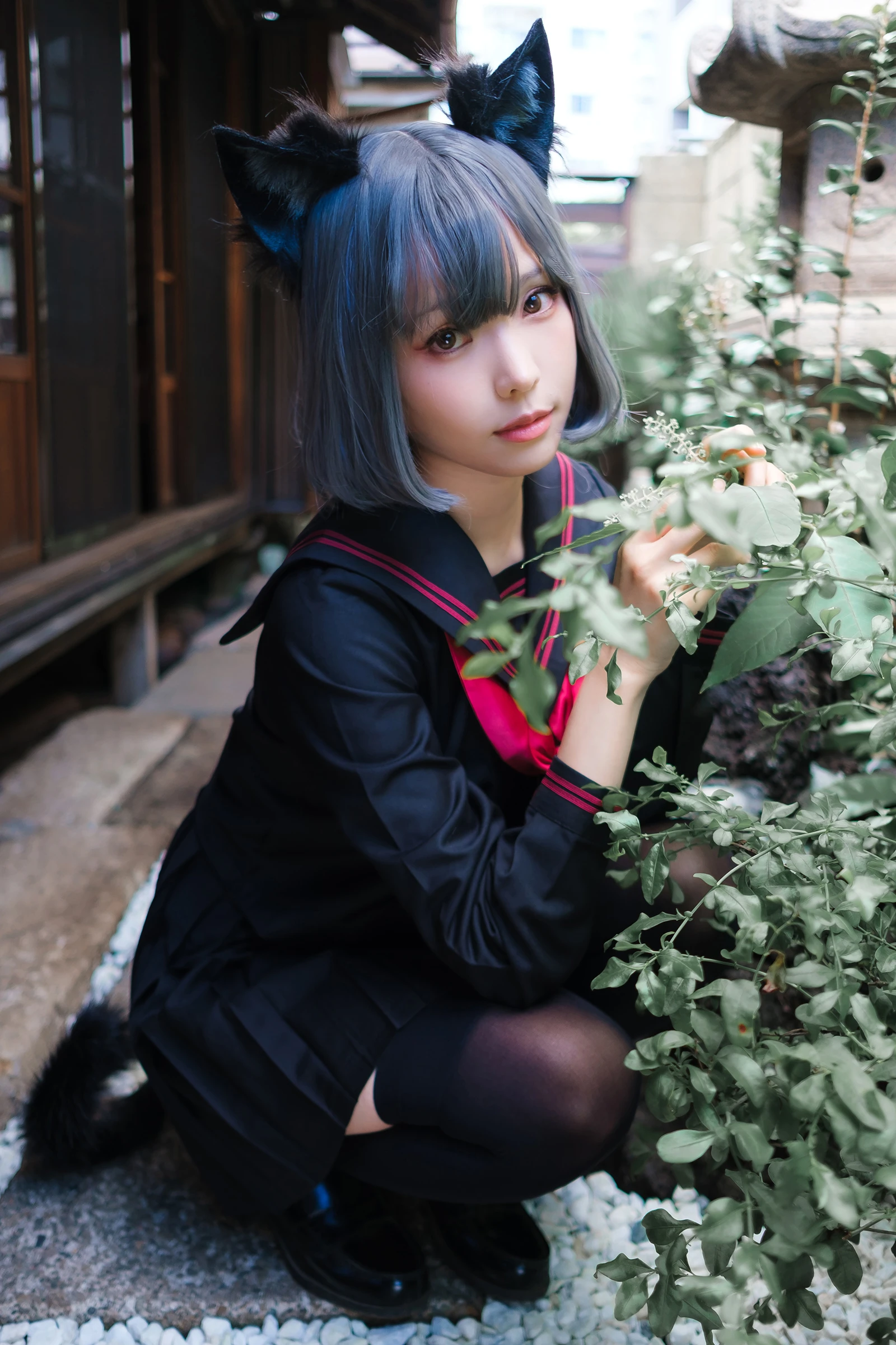 Veranda Black Cat緣廊黑貓美女动漫博主性感Cosplay写真Ely_eee(ElyEE子)